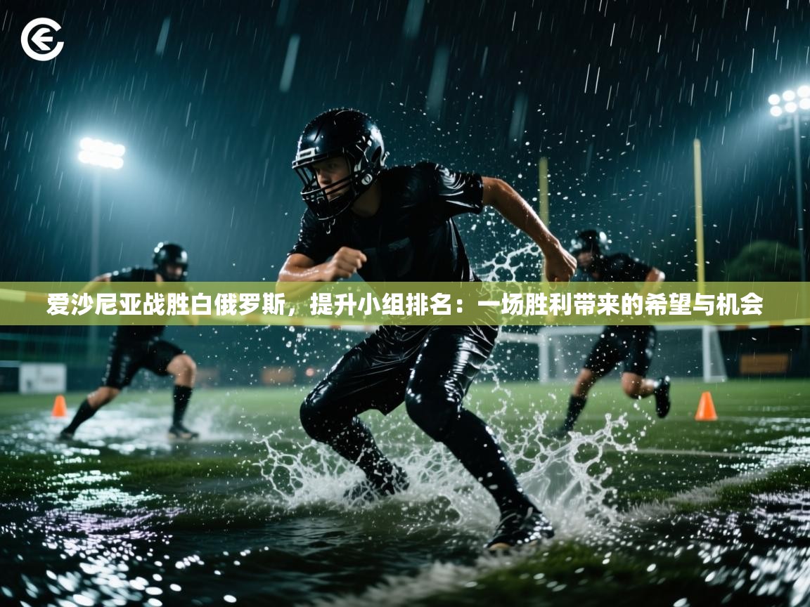 爱沙尼亚战胜白俄罗斯，提升小组排名：一场胜利带来的希望与机会  第1张